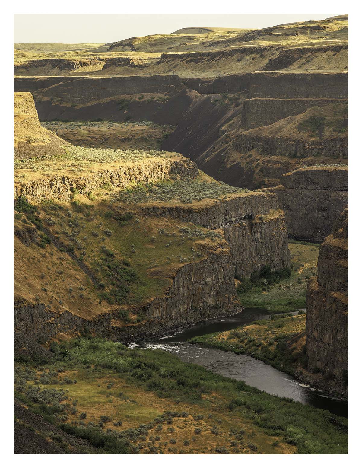 BCJ Spring in the Palouse